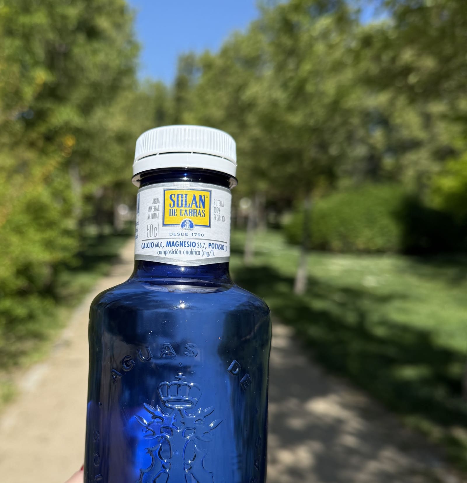 Agua con limón y chía receta sencilla y propiedades